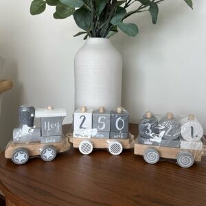 Gray White Beige Wooden Baby Monthly Countdown Milestone Train